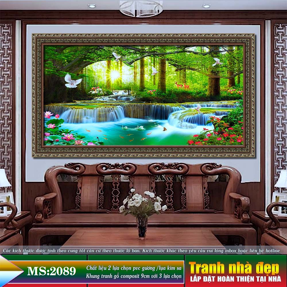 2089-1753989254.jpg